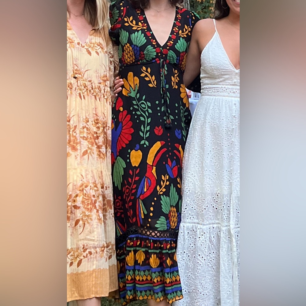 Farm Rio Floral Black Dress